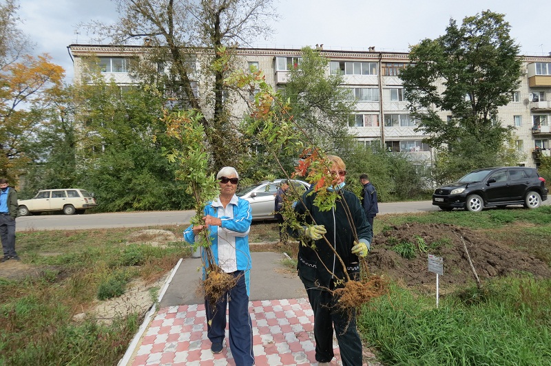 На Аллее династий железнодорожников появились новые саженцы рябины