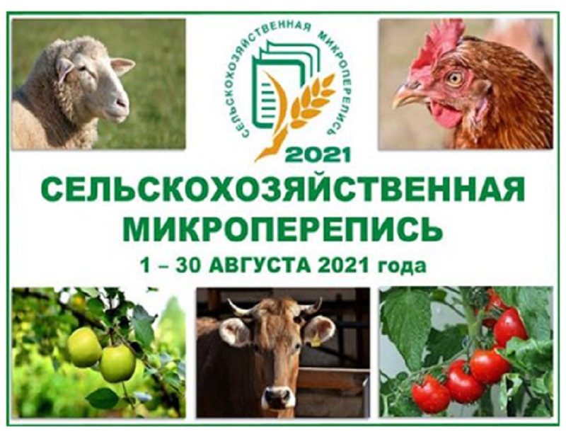 Сельскохозяйственная микроперепись- 2021