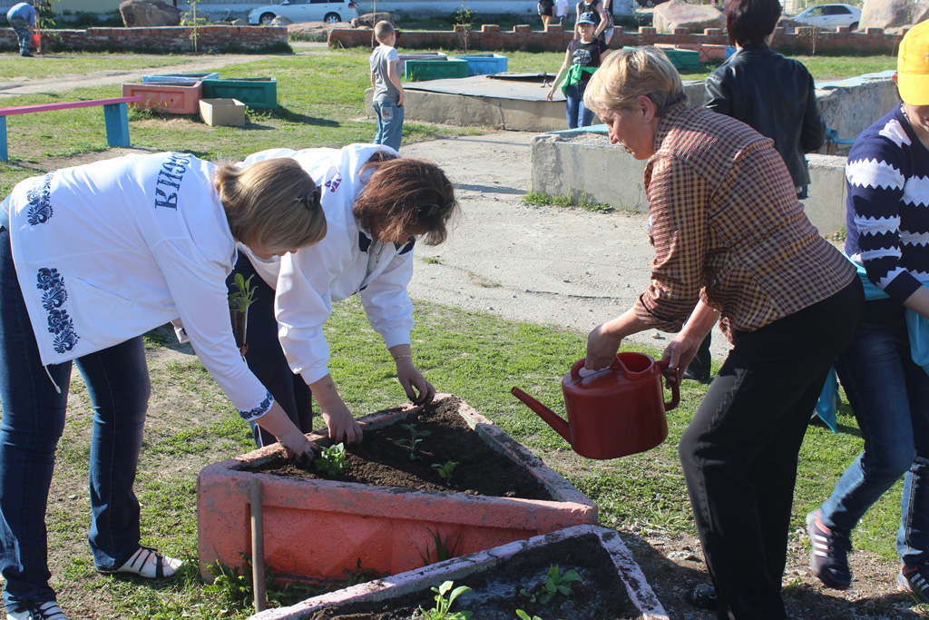 День соседей в Шимановске отметили дворовым праздником  и высадкой цветов