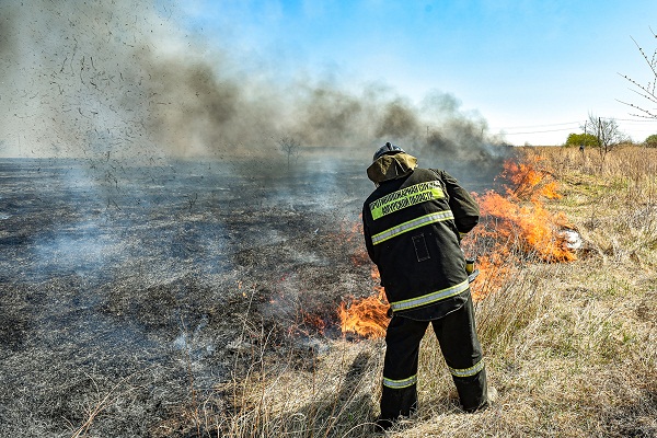 Тушить пожары в лесах Приамурья стали быстрее