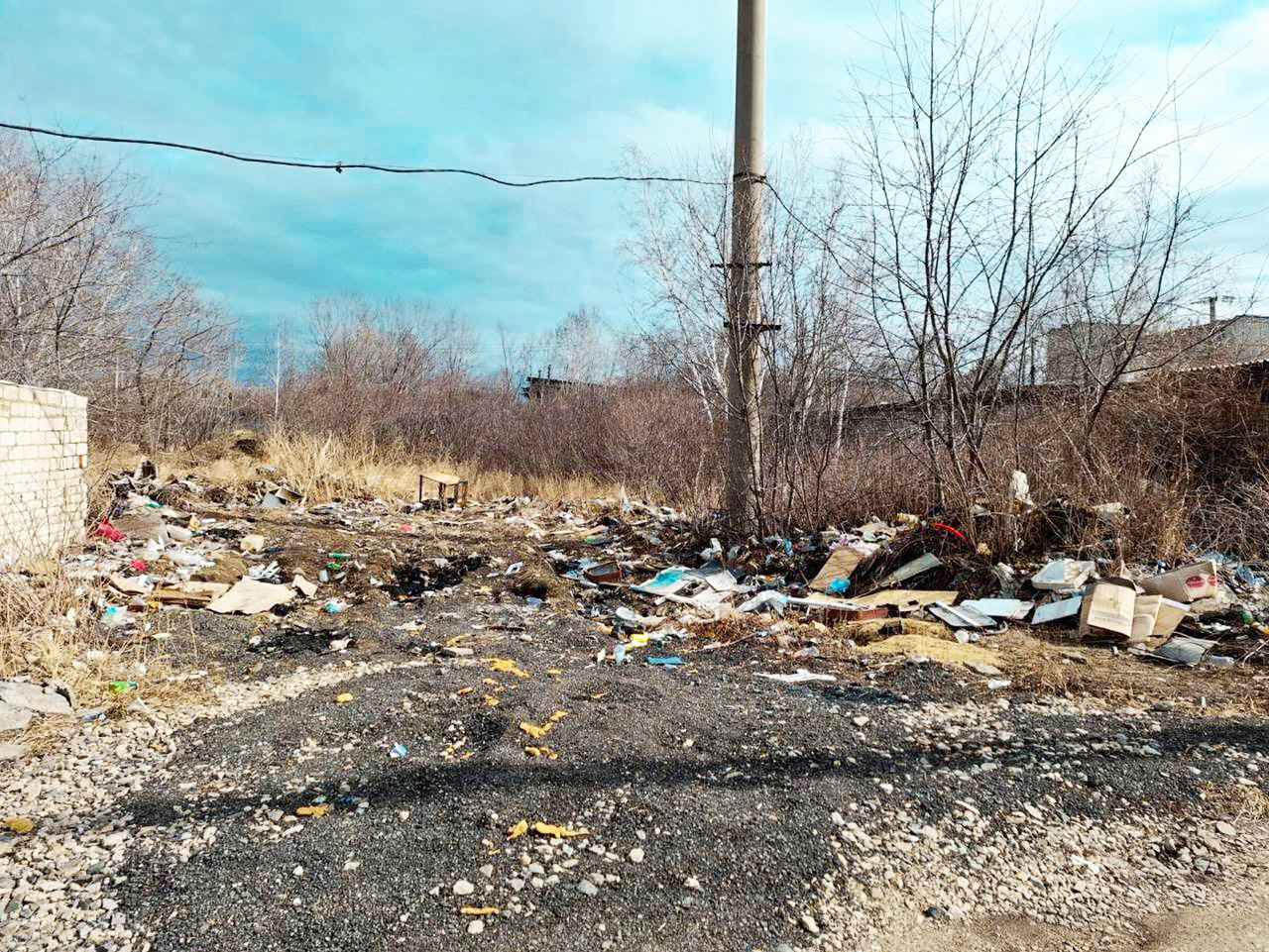 Экология и охрана окружающей среды в городе Шимановске 