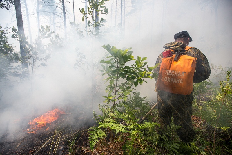 В Амурской области открылся пожароопасный сезон: потепление принесет югу региона ранние палы