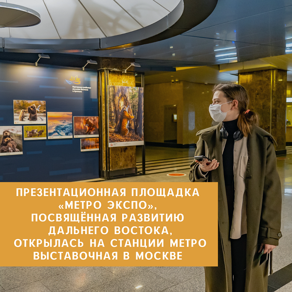 Презентационная площадка «Метро Экспо», посвящённая развитию Дальнего Востока, открылась на станции метро Выставочная в Москве 