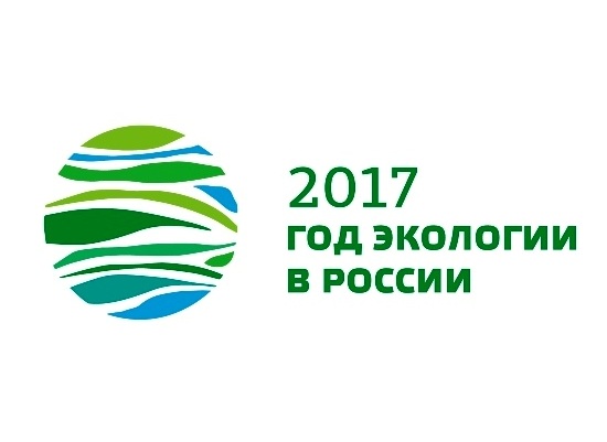 В мэрии подвели итоги года экологии в России