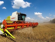 Амурские производители зерна получат свыше 32 миллионов господдержки