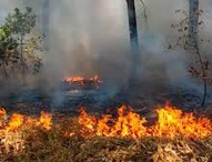 В Шимановске объявлен особый противопожарный режим