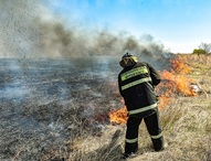 Тушить пожары в лесах Приамурья стали быстрее