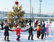 Сезон новогодних елок открыт