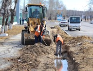 "Зеленая весна" в Шимановске