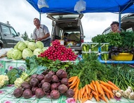 «Овощехранилища помогут снизить цены» 
