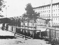 Пожелтевшие страницы